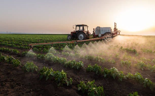 Best Pest Control Cost  in Marengo, IL