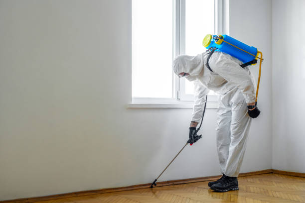 Best Flea Control Services  in Marengo, IL